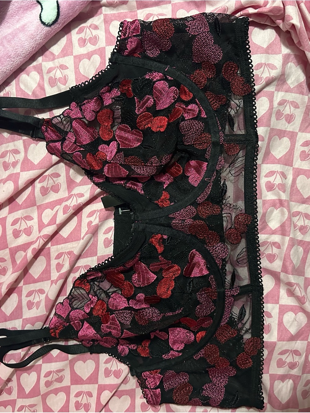 Sheer Black Lace Underwire Bra with Pink & Red Heart Embroidery